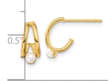 14k Yellow Gold Earrings Style XF797E - Classique Jewelry Inc.