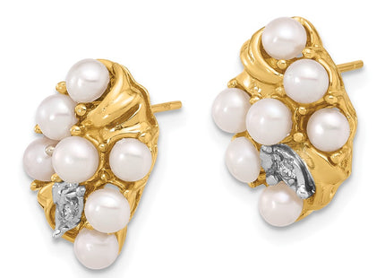 14k Yellow Gold Earrings Style XF852E - Classique Jewelry Inc.