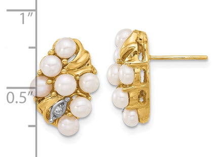 14k Yellow Gold Earrings Style XF852E - Classique Jewelry Inc.