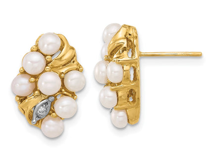 14k Yellow Gold Earrings Style XF852E - Classique Jewelry Inc.