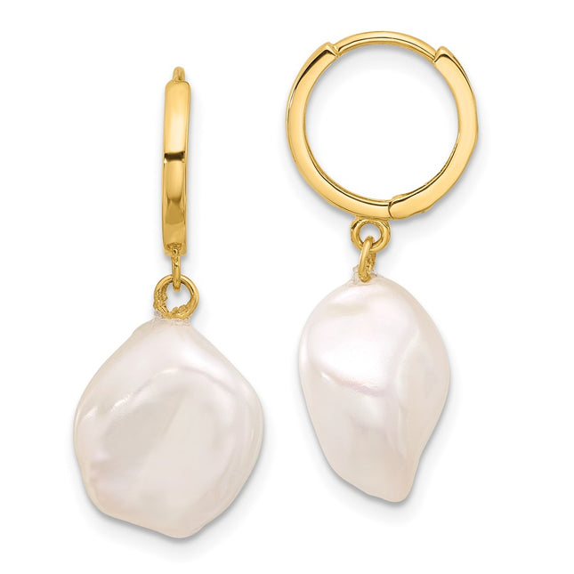 14k Yellow Gold Earrings Style XF860E - Classique Jewelry Inc.