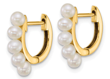 14k Yellow Gold Earrings Style XF864E - Classique Jewelry Inc.
