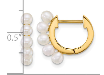 14k Yellow Gold Earrings Style XF864E - Classique Jewelry Inc.