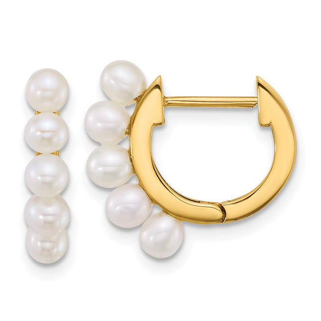 14k Yellow Gold Earrings Style XF864E - Classique Jewelry Inc.