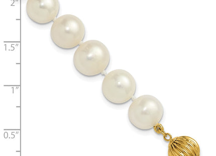 14k Polished 9- Near-Round White Freshwater Cultured Pearl 7. Necklace