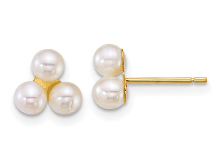 14k Yellow Gold Earrings Style XF892EW - Classique Jewelry Inc.