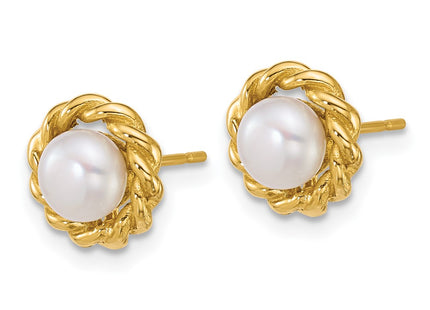 14k Yellow Gold Earrings Style XF904E - Classique Jewelry Inc.