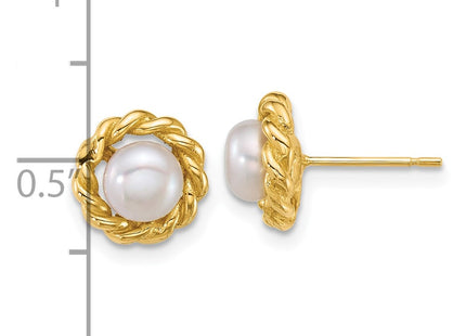 14k Yellow Gold Earrings Style XF904E - Classique Jewelry Inc.