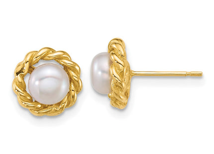 14k Yellow Gold Earrings Style XF904E - Classique Jewelry Inc.