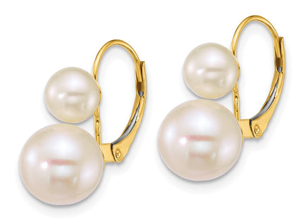 14k Yellow Gold Earrings Style XF912E - Classique Jewelry Inc.