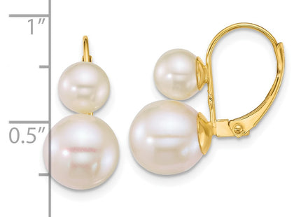 14k Yellow Gold Earrings Style XF912E - Classique Jewelry Inc.