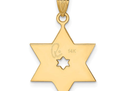 14k Two-tone Star of David Pendant (Style XK686)