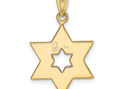 14k Two-tone Star of David Pendant (Style XK687)