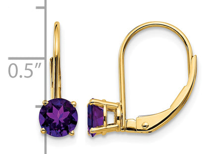 14k Amethyst Leverback Earrings