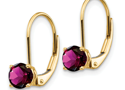14k Rhodolite Garnet Leverback Earrings