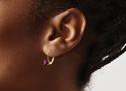 14k Rhodolite Garnet Leverback Earrings