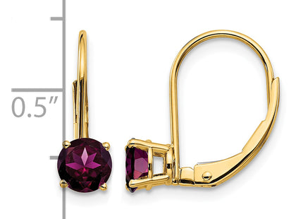14k Rhodolite Garnet Leverback Earrings