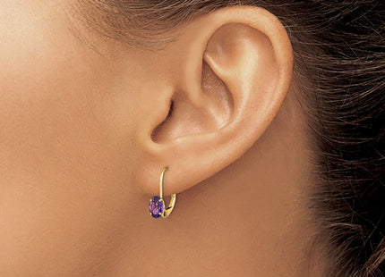 14k Oval Amethyst Leverback Earrings (Style XLB114AM)