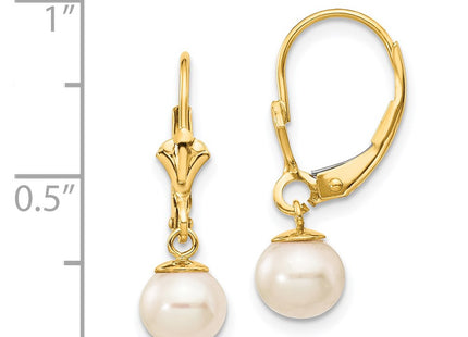 14k Yellow Gold Earrings Style XLB154PL - Classique Jewelry Inc.