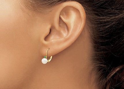 14k Yellow Gold Earrings Style XLB50E - Classique Jewelry Inc.