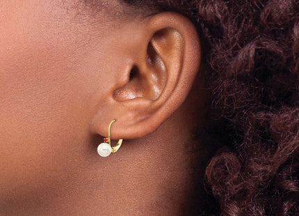 14k Yellow Gold Earrings Style XLB50R - Classique Jewelry Inc.