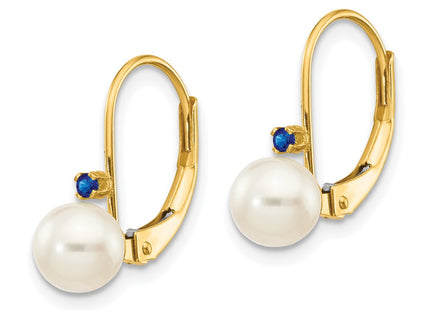 14k Yellow Gold Earrings Style XLB50S - Classique Jewelry Inc.