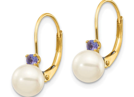 14k Yellow Gold Earrings Style XLB60T - Classique Jewelry Inc.