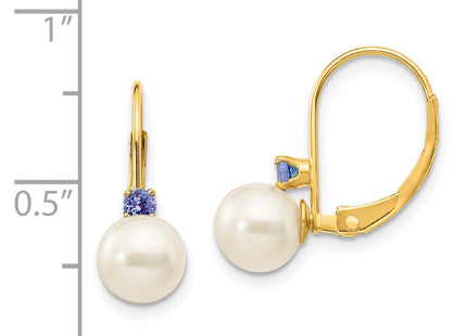 14k Yellow Gold Earrings Style XLB60T - Classique Jewelry Inc.