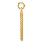 14K Plain .013 Gauge Circular Engravable Disc with Rope Charm, 32 x 21mm view