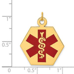 14K Hexagon Red Enameled Medical Jewelry Pendant, 27 x 22.5mm view