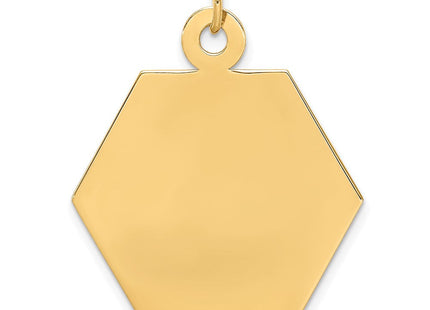 14k Hexagon Non-enameled Medical Jewelry Pendant (Style XM31N)