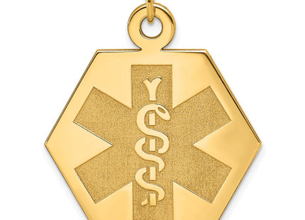 14k Hexagon Non-enameled Medical Jewelry Pendant (Style XM31N)
