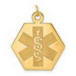 14K Hexagon Non-enameled Medical Jewelry Pendant, 27 x 22.5mm view