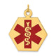 14K Hexagon Red Enameled Medical Jewelry Pendant, 27 x 22.5mm