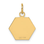 14K Hexagon Red Enameled Medical Jewelry Pendant, 20 x 15mm view