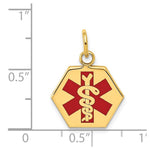 14K Hexagon Red Enameled Medical Jewelry Pendant, 20 x 15mm view
