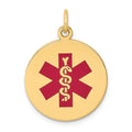 14K Round Red Enameled Medical Jewelry Pendant, 26 x 19mm