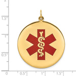 14K Round Red Enameled Medical Jewelry Pendant, 40 x 31.8mm view