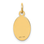 14K 16x9.5mm Oval Non-enameled Medical Jewelry Pendant view