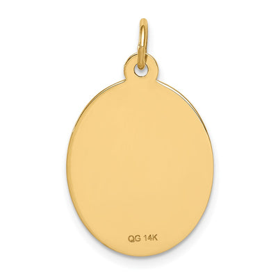 14K 23x16.5mm Oval Non-enameled Medical Jewelry Pendant