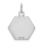 14K White Gold Hexagon Red Enameled Medical Jewelry Pendant, 28 x 23mm view