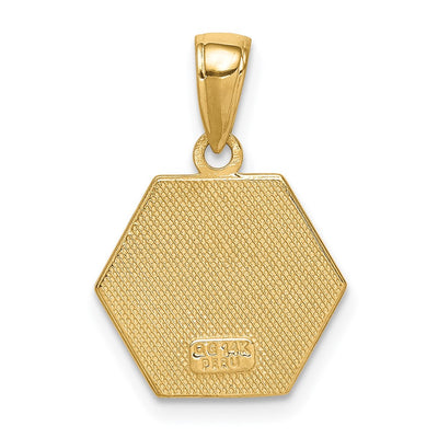 14K Hexagon Enameled Textured Back Medical Disc Pendant