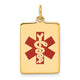 14K Rectangle Red Enameled Medical Jewelry Pendant
