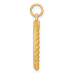 14K Plain .013 Gauge Circular Engravable Disc with Rope Charm, 26.85 x 18.66mm view