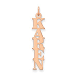 10k White Gold Name Plate Charm view 5