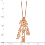 14K Rose Gold Brushed Vertical 3 Name Charm Necklace view