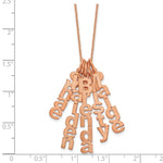 14K Rose Gold Brushed Vertical 5 Name Charm Necklace view