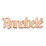 SS/Gold-plated Polished New Gothic Textura Font Name Plate view 14