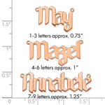 SS/Gold-plated Polished New Gothic Textura Font Name Plate view 15