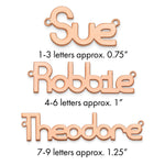SS/Rhodium-plated Polished Name Plate view 4